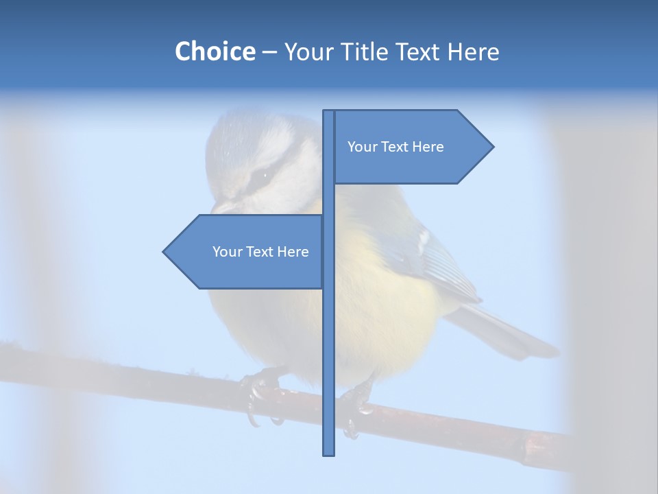 Object Great Small PowerPoint Template