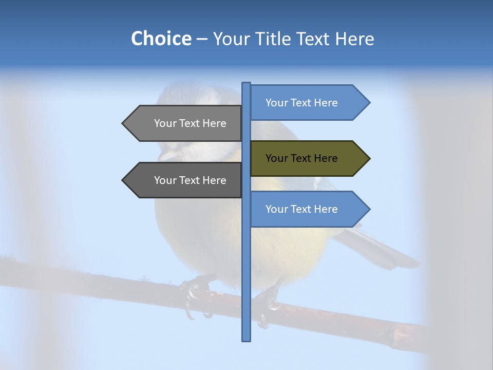 Object Great Small PowerPoint Template