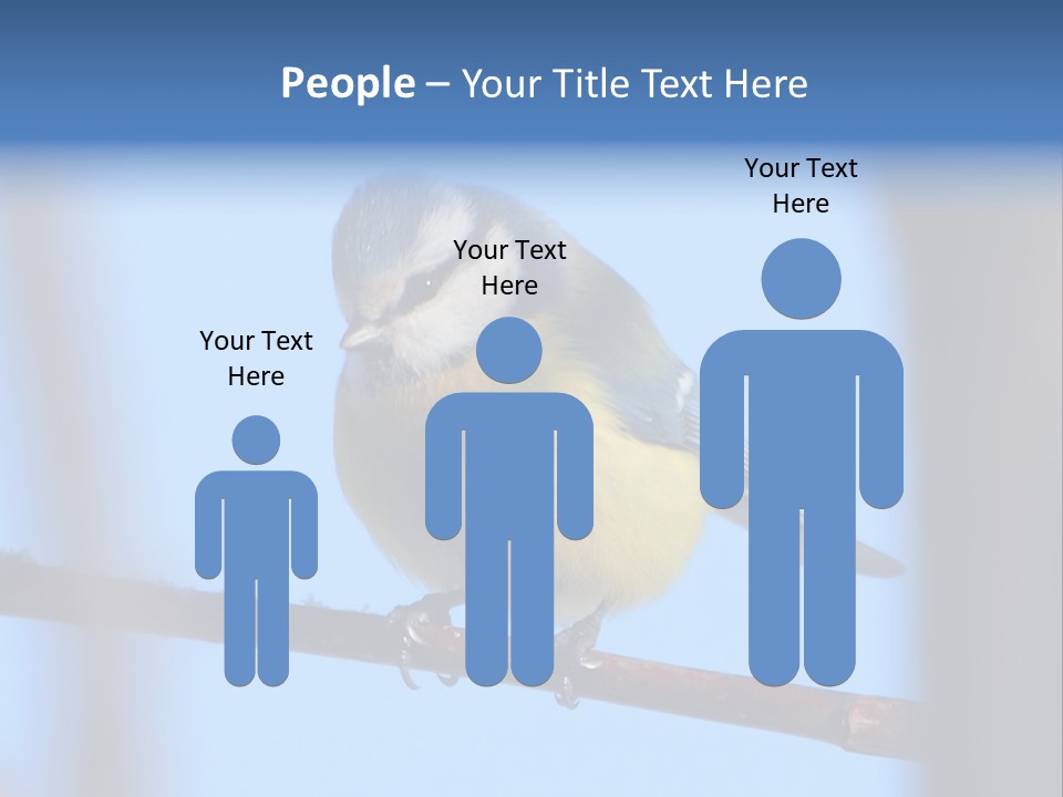 Object Great Small PowerPoint Template