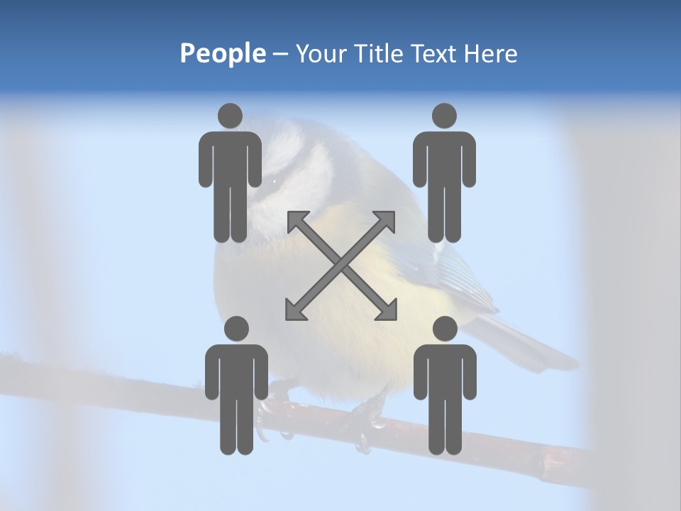 Object Great Small PowerPoint Template