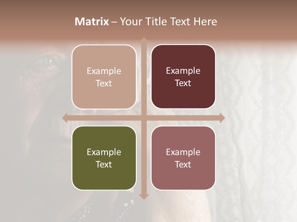 Elder Window Alone PowerPoint Template