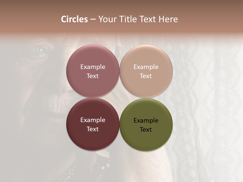 Elder Window Alone PowerPoint Template