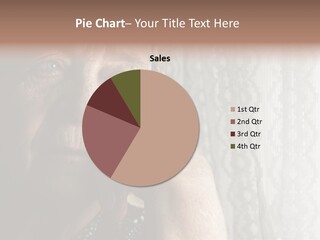 Elder Window Alone PowerPoint Template