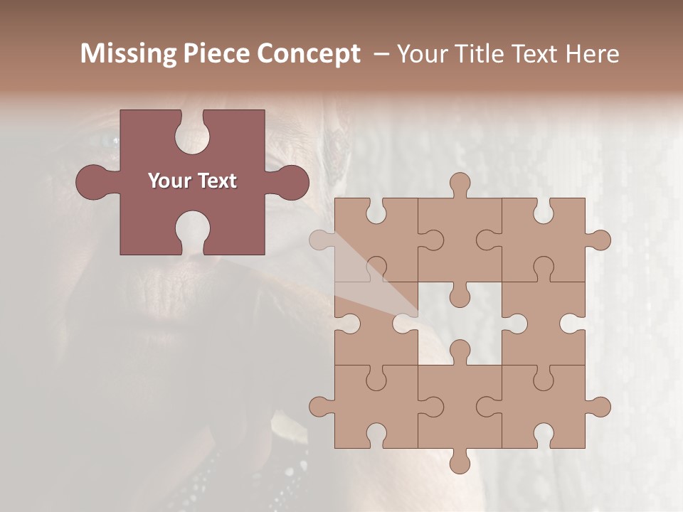 Elder Window Alone PowerPoint Template
