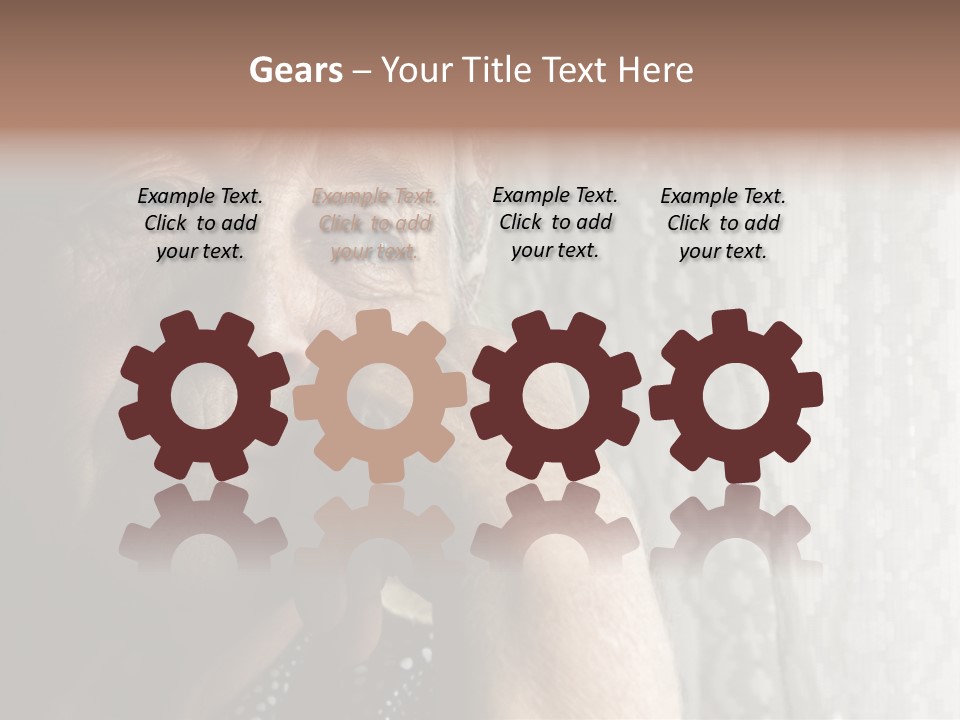 Elder Window Alone PowerPoint Template