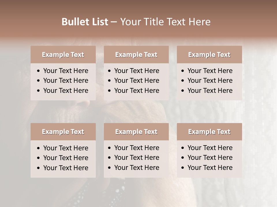Elder Window Alone PowerPoint Template
