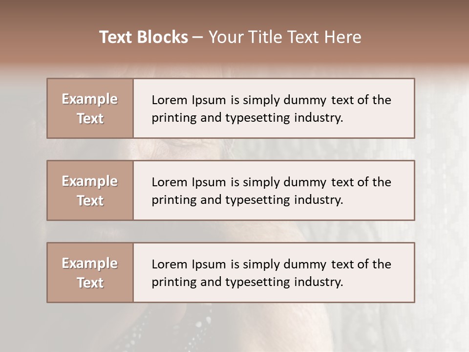 Elder Window Alone PowerPoint Template