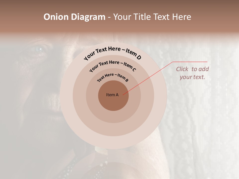 Elder Window Alone PowerPoint Template
