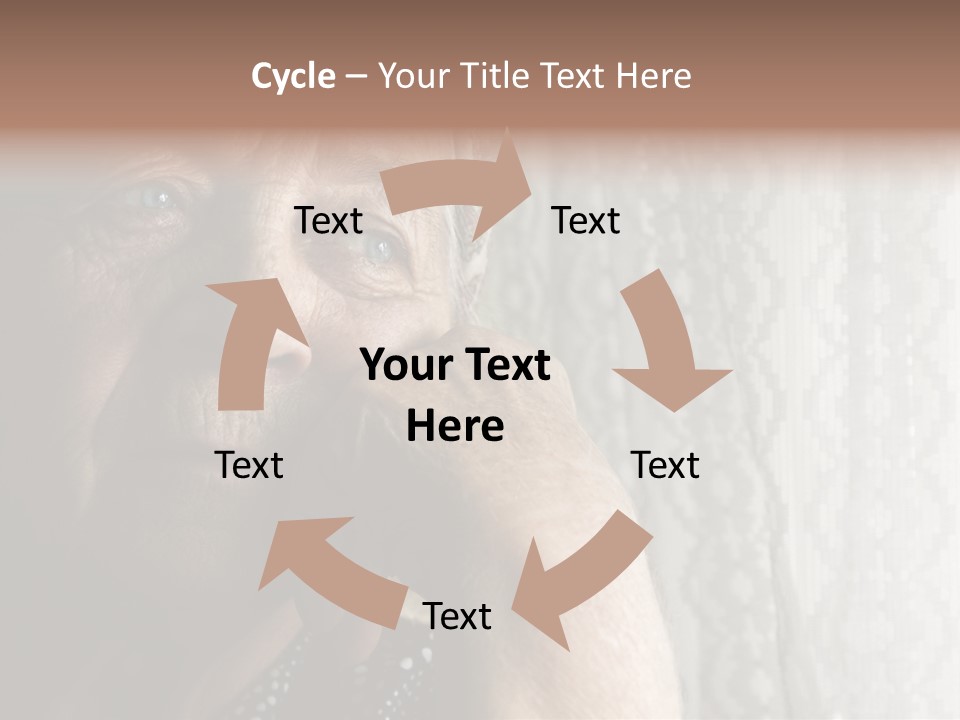 Elder Window Alone PowerPoint Template