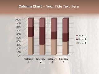 Elder Window Alone PowerPoint Template