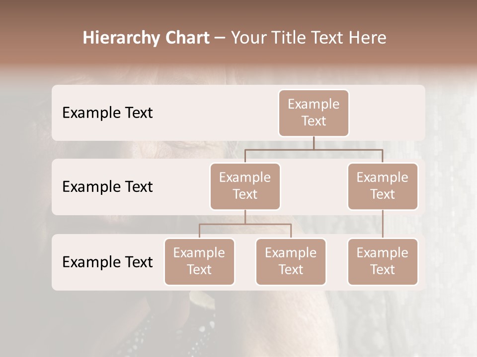 Elder Window Alone PowerPoint Template