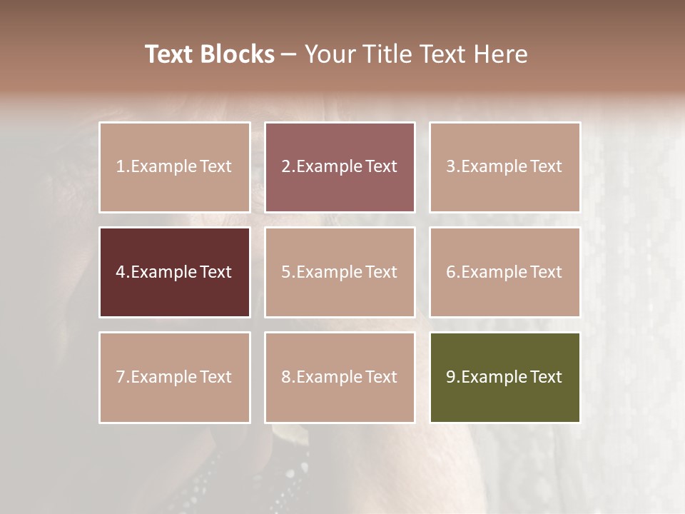 Elder Window Alone PowerPoint Template