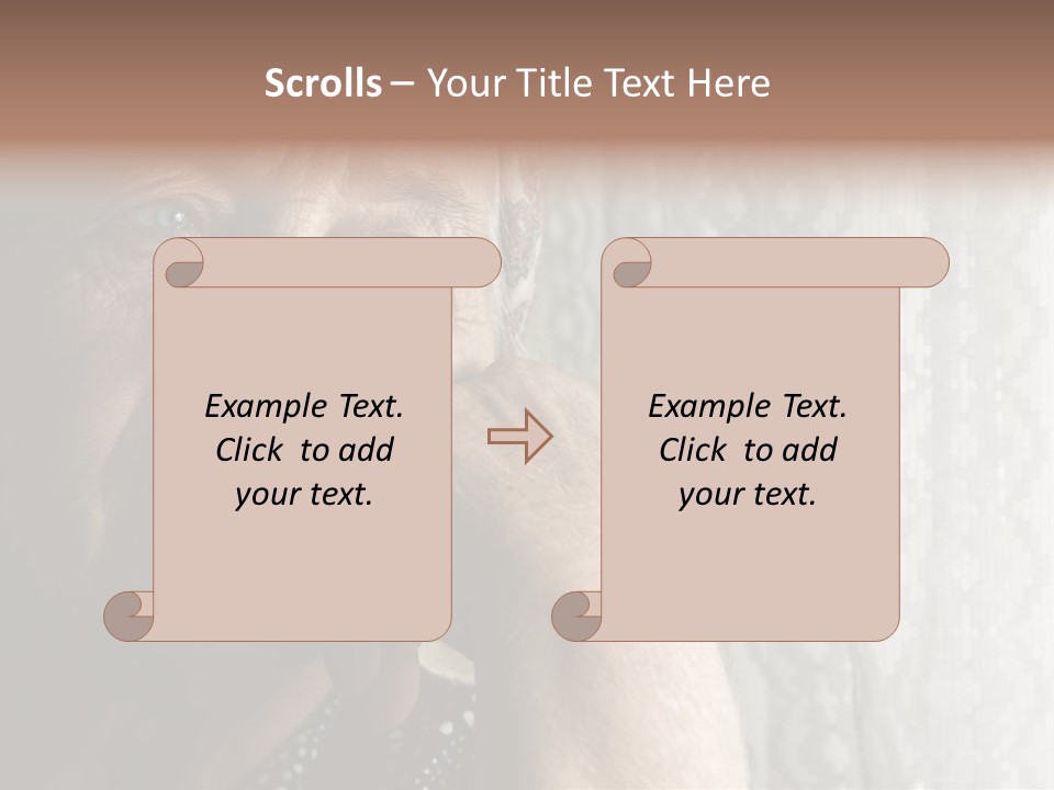 Elder Window Alone PowerPoint Template