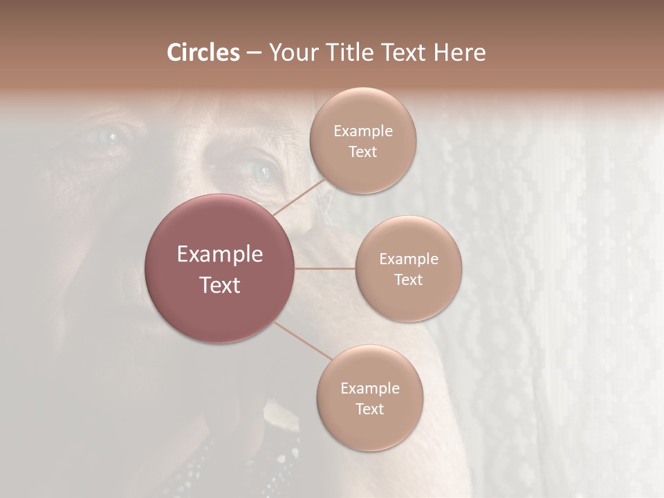Elder Window Alone PowerPoint Template