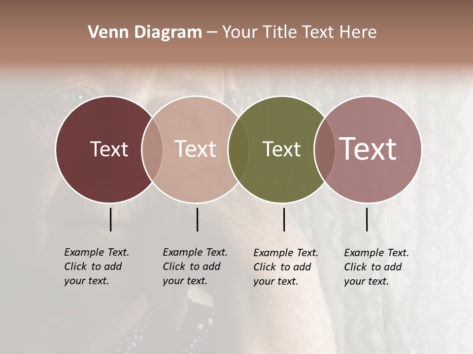 Elder Window Alone PowerPoint Template