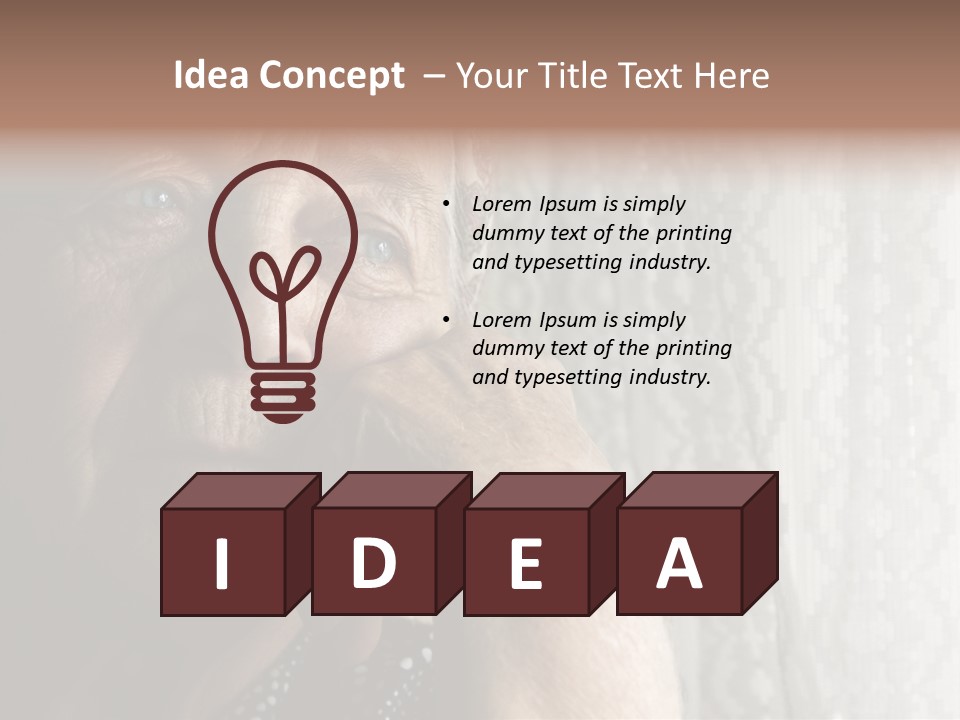 Elder Window Alone PowerPoint Template