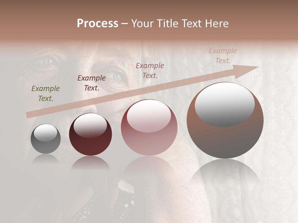 Elder Window Alone PowerPoint Template