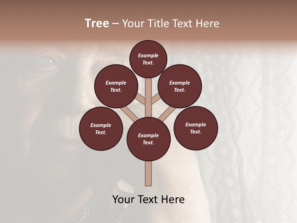 Elder Window Alone PowerPoint Template