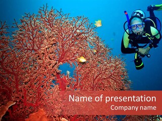 Blue Coral Andaman PowerPoint Template