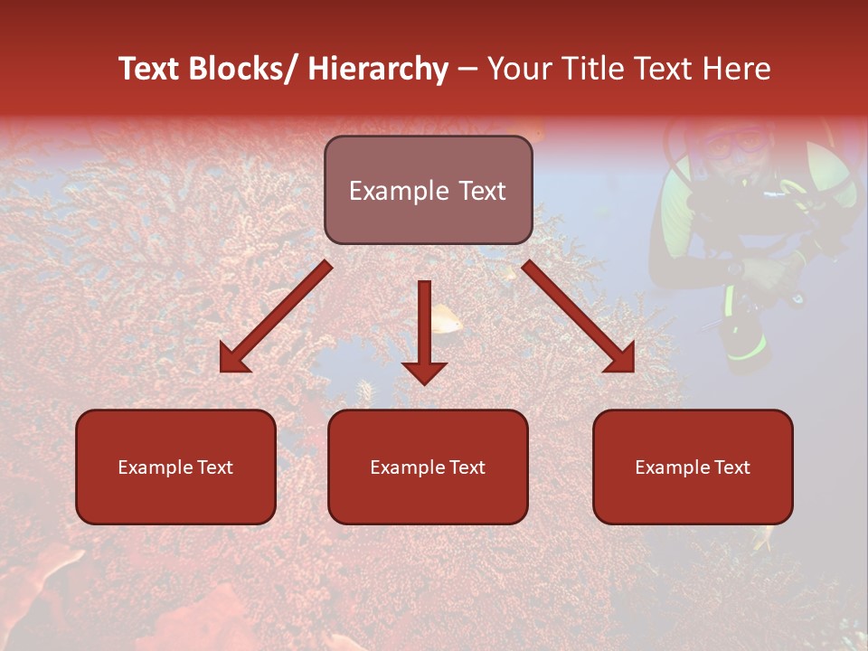 Blue Coral Andaman PowerPoint Template