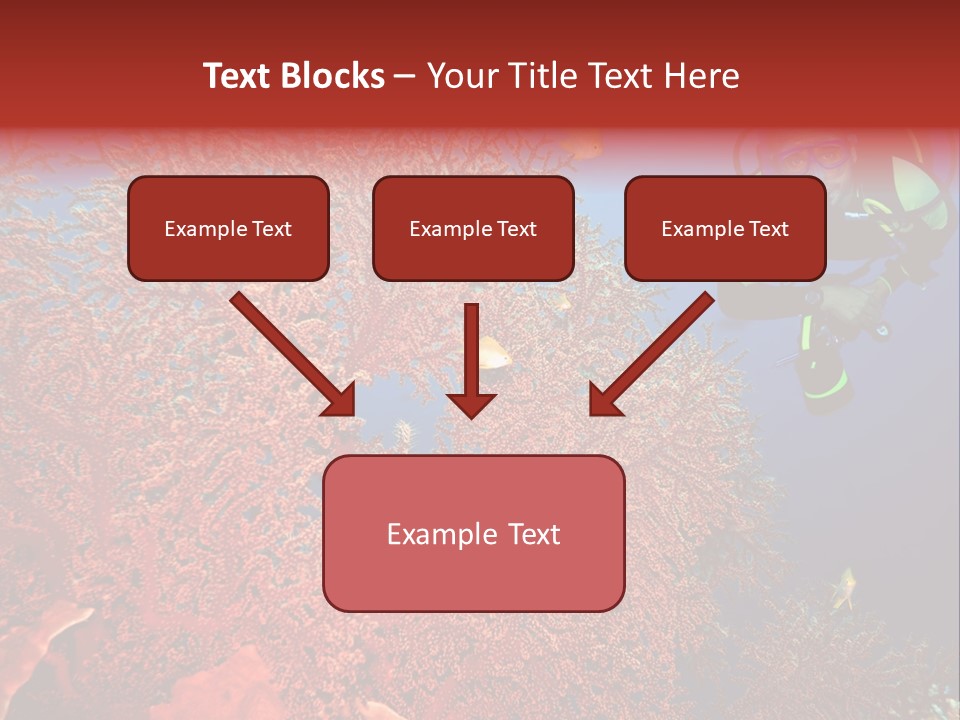 Blue Coral Andaman PowerPoint Template