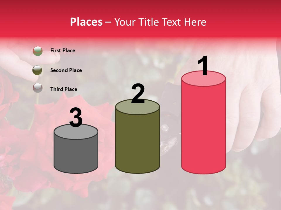 Rose Flower Cutting PowerPoint Template