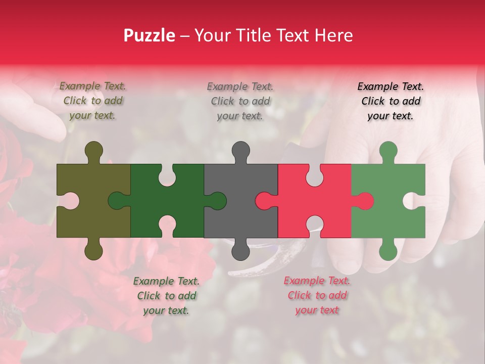 Rose Flower Cutting PowerPoint Template