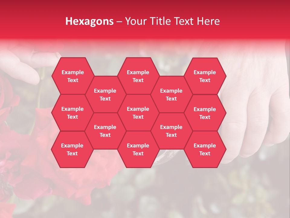 Rose Flower Cutting PowerPoint Template