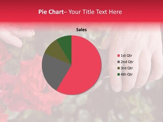 Rose Flower Cutting PowerPoint Template