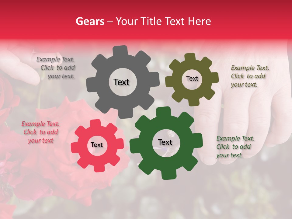 Rose Flower Cutting PowerPoint Template