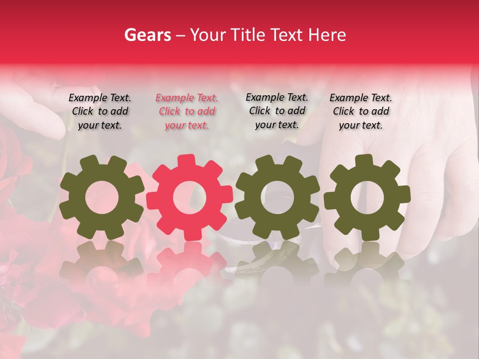 Rose Flower Cutting PowerPoint Template