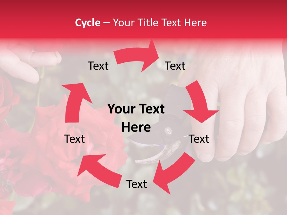 Rose Flower Cutting PowerPoint Template