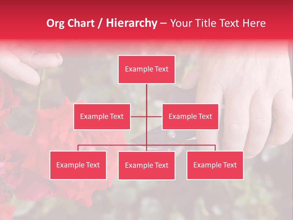 Rose Flower Cutting PowerPoint Template