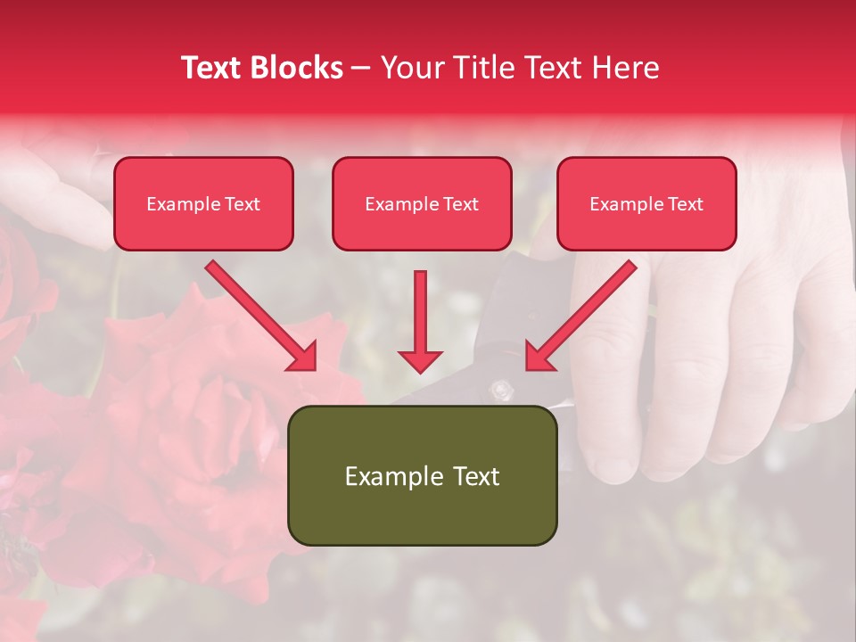 Rose Flower Cutting PowerPoint Template
