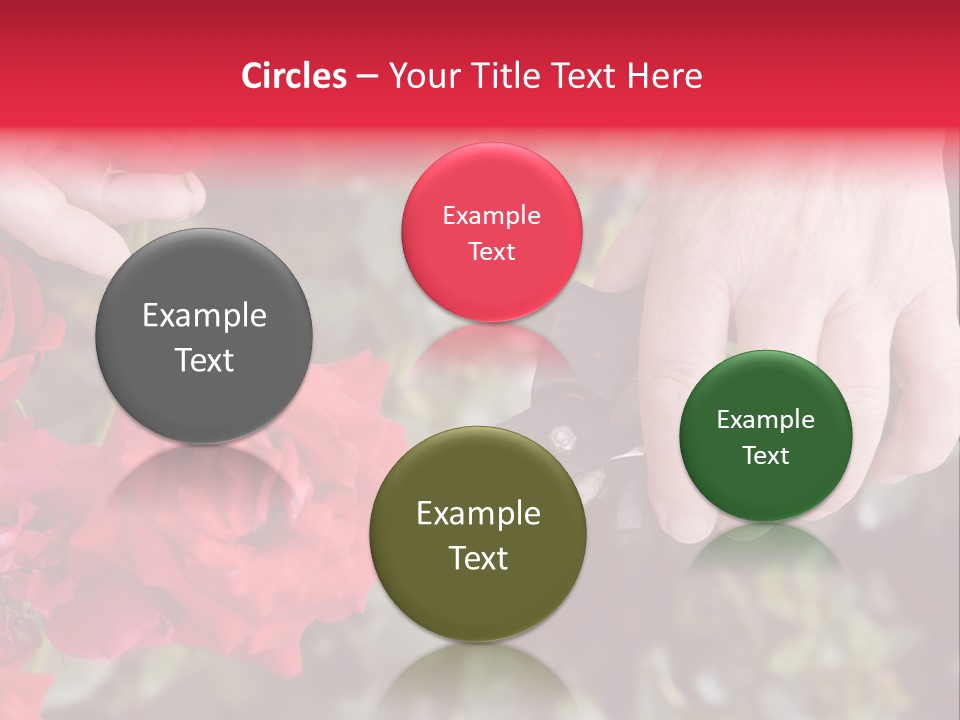 Rose Flower Cutting PowerPoint Template