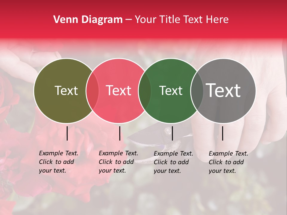 Rose Flower Cutting PowerPoint Template