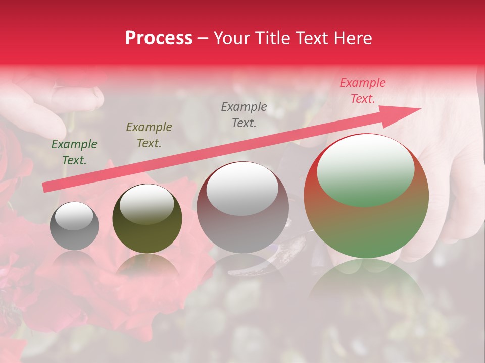 Rose Flower Cutting PowerPoint Template