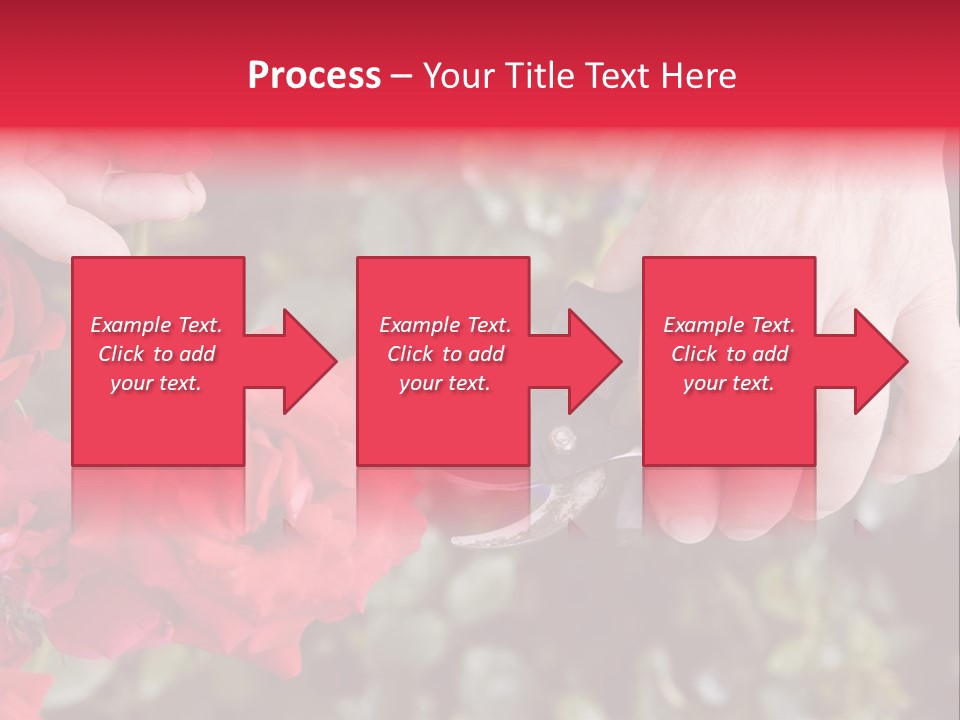 Rose Flower Cutting PowerPoint Template