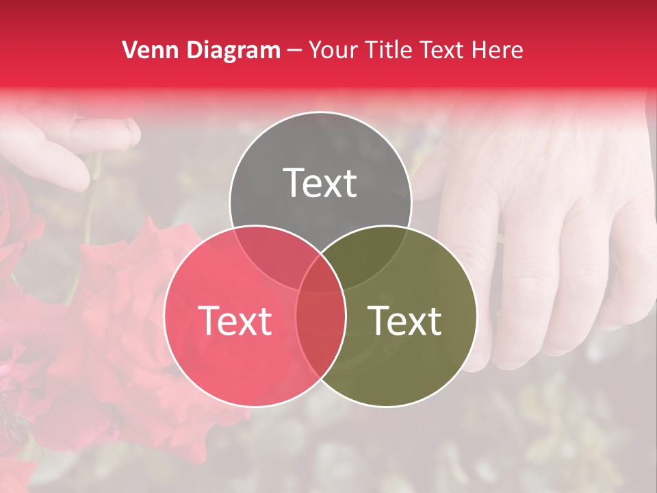 Rose Flower Cutting PowerPoint Template