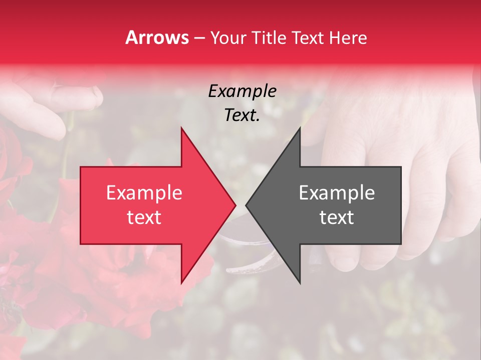 Rose Flower Cutting PowerPoint Template