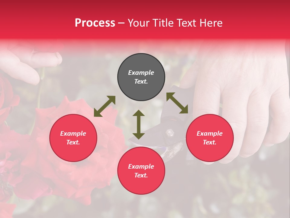 Rose Flower Cutting PowerPoint Template