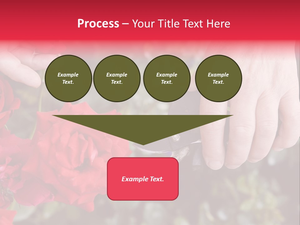 Rose Flower Cutting PowerPoint Template