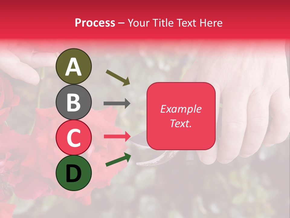 Rose Flower Cutting PowerPoint Template