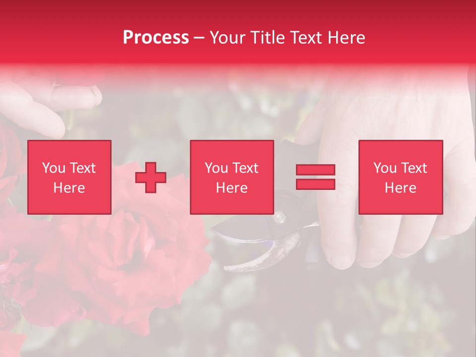 Rose Flower Cutting PowerPoint Template