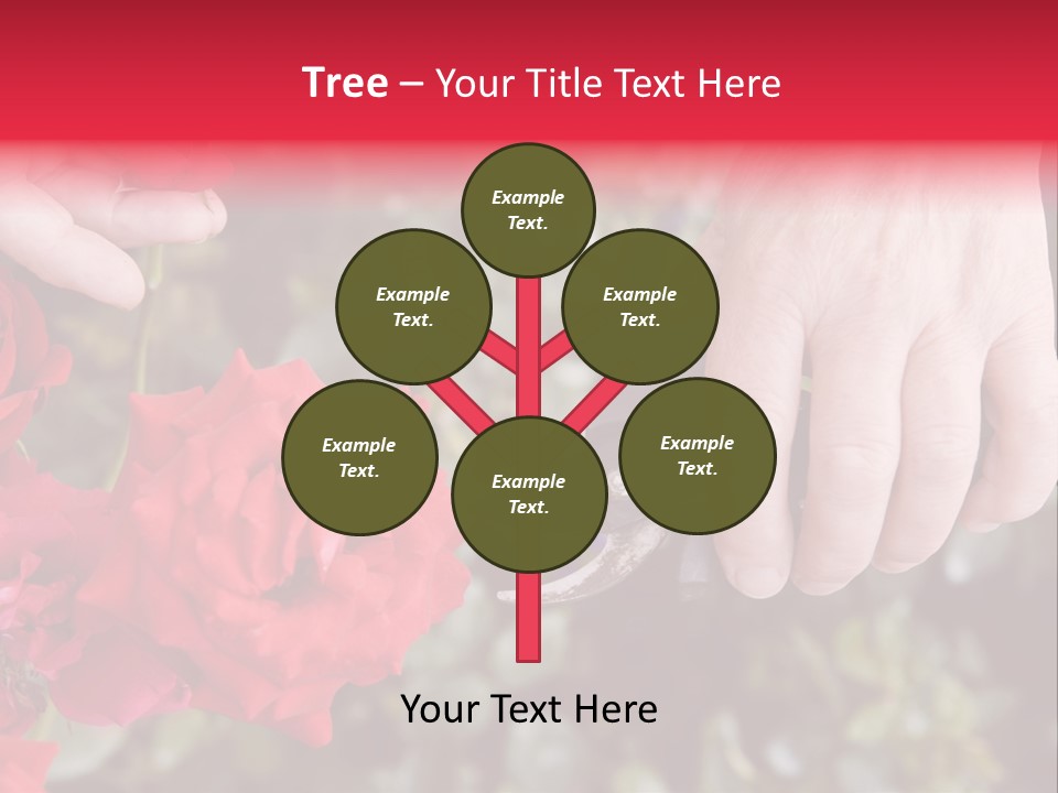 Rose Flower Cutting PowerPoint Template