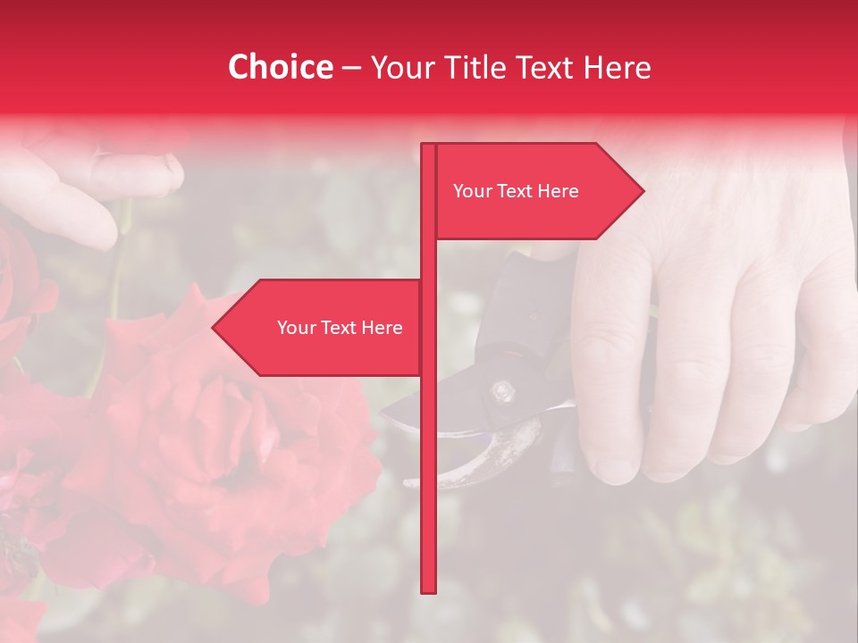 Rose Flower Cutting PowerPoint Template