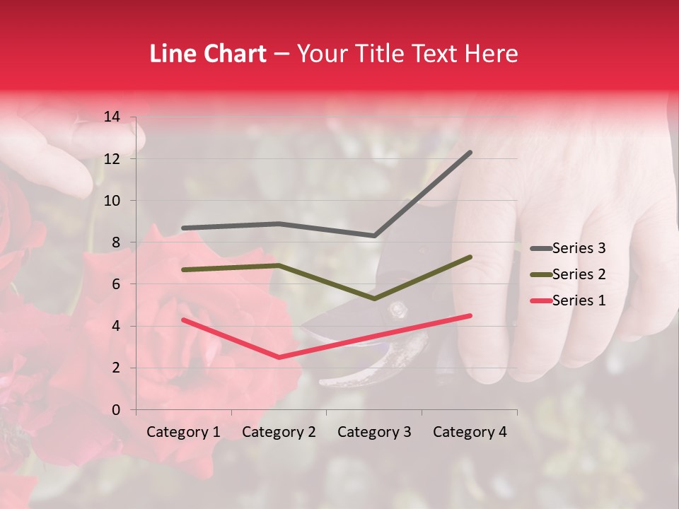 Rose Flower Cutting PowerPoint Template