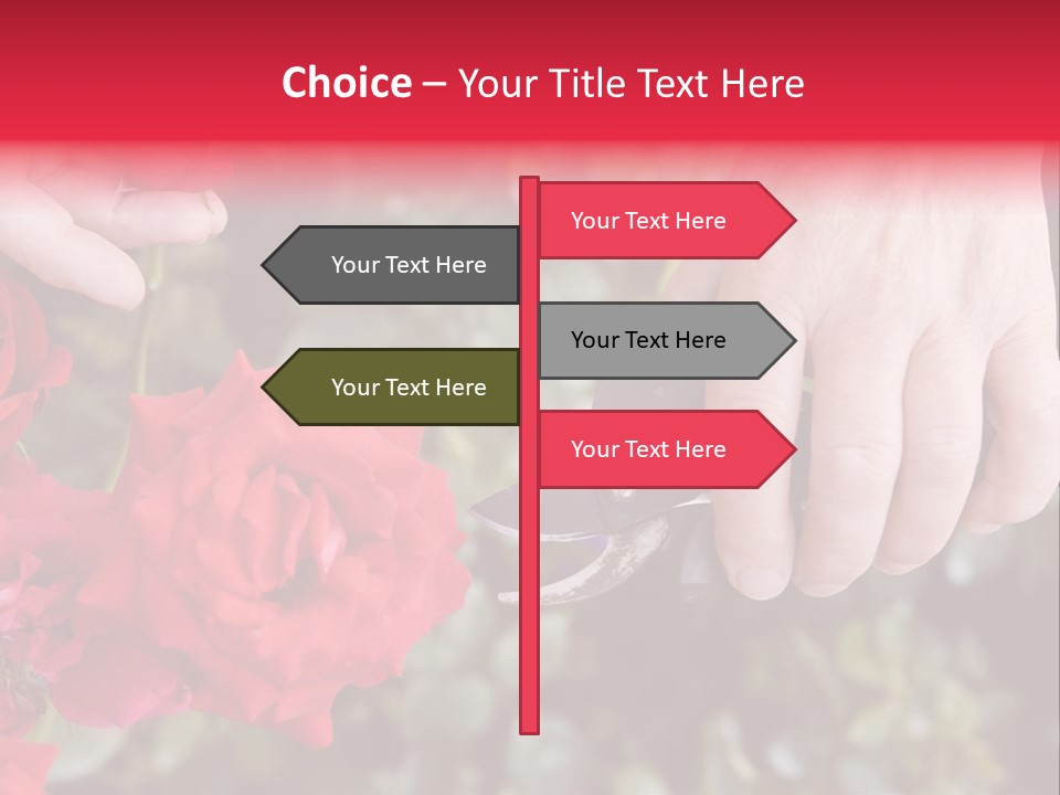 Rose Flower Cutting PowerPoint Template