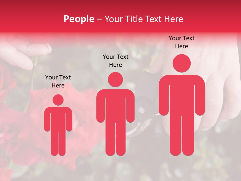 Rose Flower Cutting PowerPoint Template