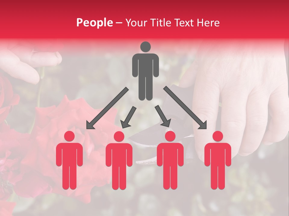 Rose Flower Cutting PowerPoint Template